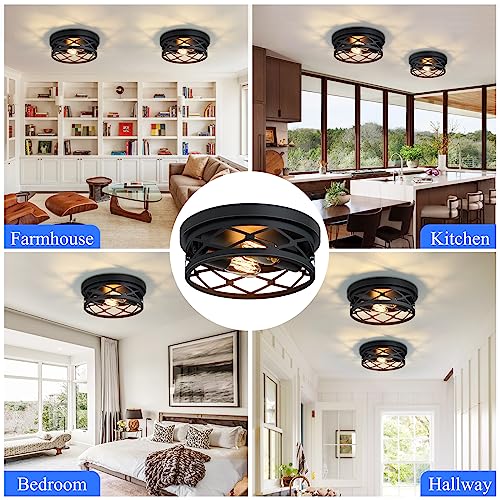 Flush Mount Ceiling Light Fixture for Hallway (2 Count)