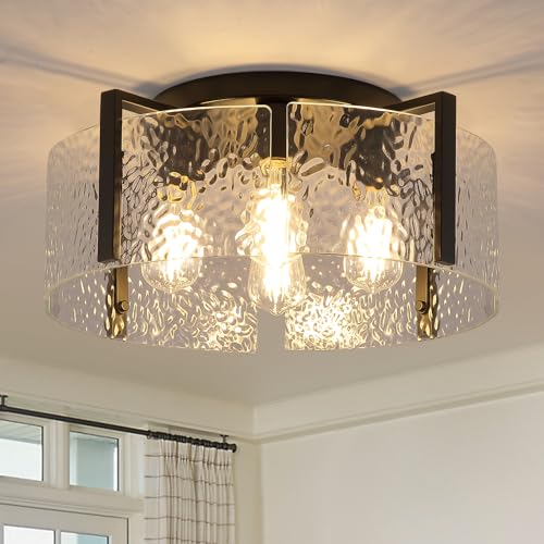 Black Flush Mount Ceiling Light Fixture
