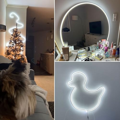 Vanity Lights for Mirror