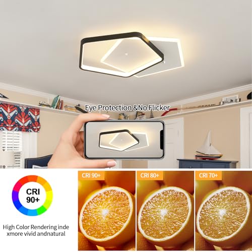 Modern LED Ceiling Light Fixture Dimmable Black Flush Mount Ceiling Lamp