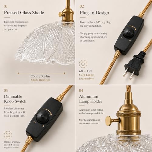 Hanging Lamp Plug in