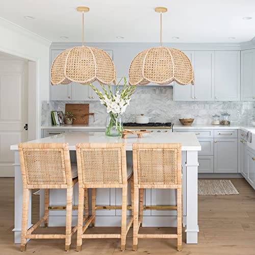 Indoor Hanging Ceiling Light Fixture