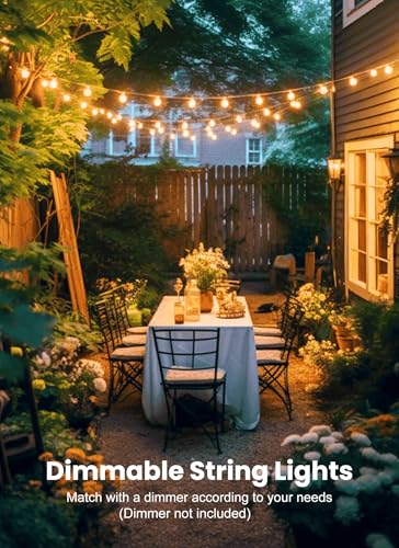 Outdoor String Lights (30 Foot)