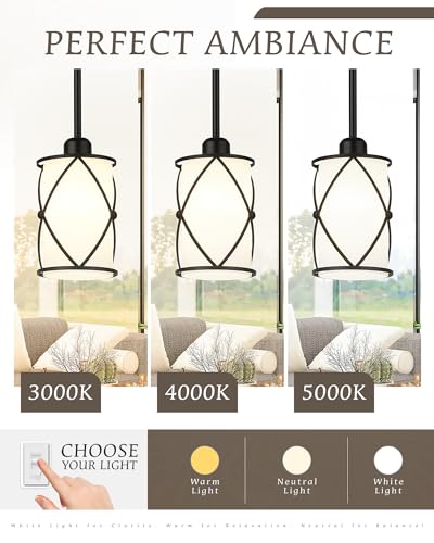 Pendant Lights Kitchen Island 3 Pack (3 Count)
