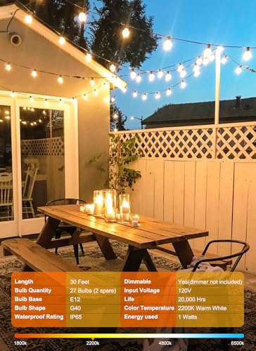 Outdoor String Lights (30 Foot)