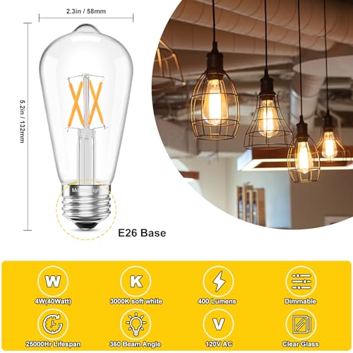 6 Pack Vintage LED Edison Bulbs (6 Count)