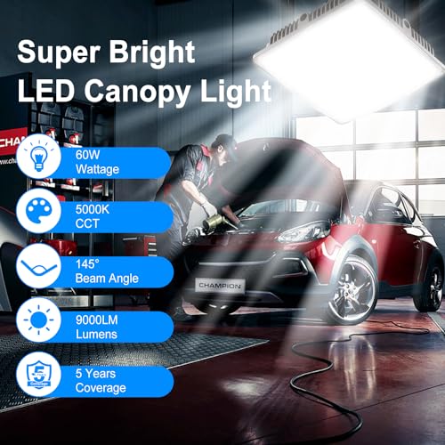 LED Canopy Light 60W (60W 4PACK)