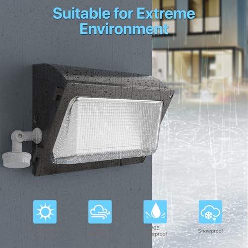 LED Wall Pack Light