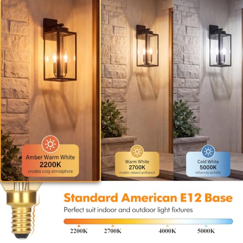 Dimmable E12 Candelabra LED Light Bulbs 40W Equivalent (12 Count)