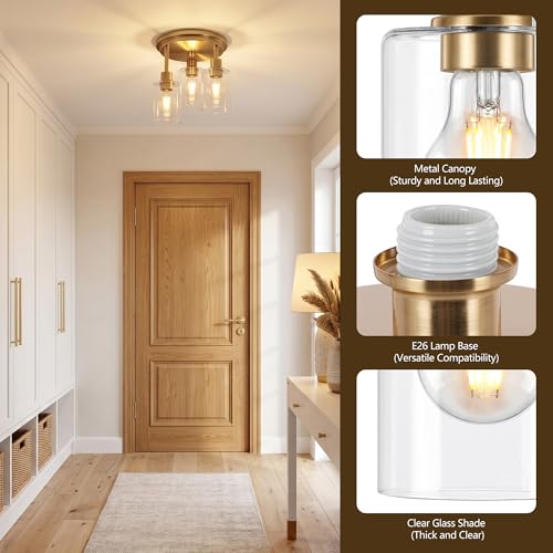 Semi Flush Mount Ceiling Light