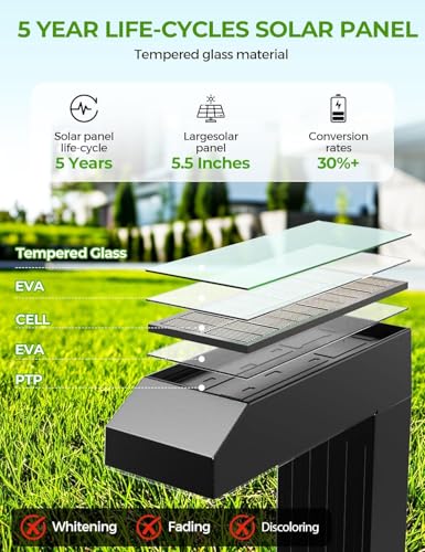 Solar Pathway Lights Outdoor (8 Count)