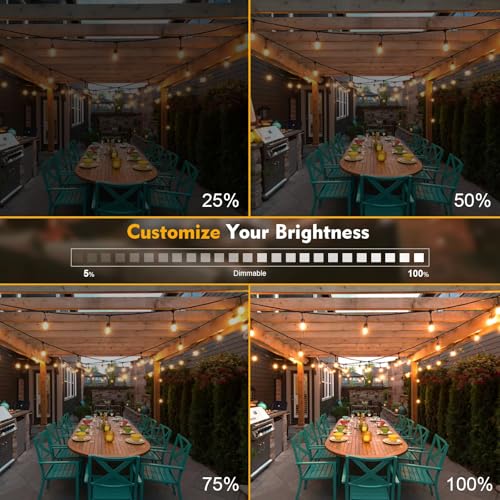 64 Pack S14 LED Bulbs for Outdoor String Lights (64 Count)