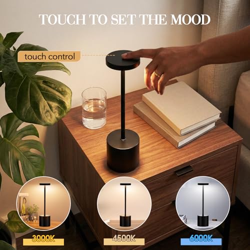 Cordless Table Lamp
