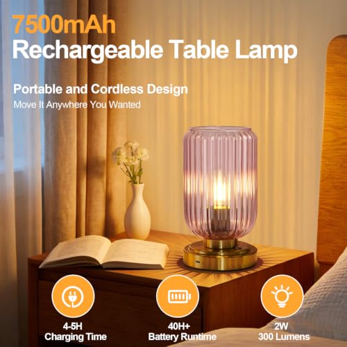 Cordless Table Lamp for Bedroom