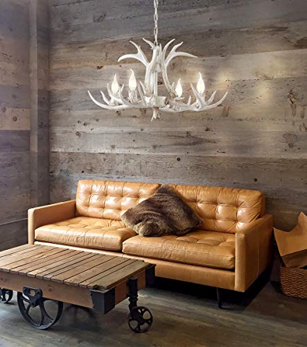 Eldora 4 Light Resin Antler Chandelier 26"