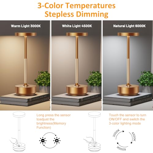LED Cordless Table Lamp Rechargeable (2 Count)