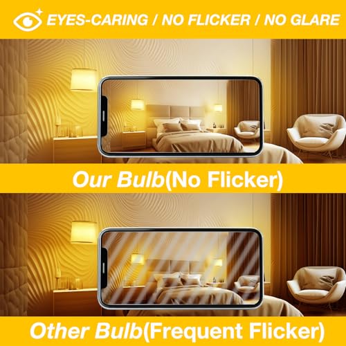 A19 LED Light Bulbs (24 Count)