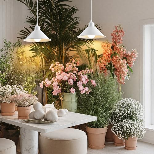 8.2IN Plug in Pendant Light (2 Count)
