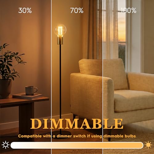 Dimmable Edison Bulb E26 Vintage Round LED Light LowLumen Clear G80
