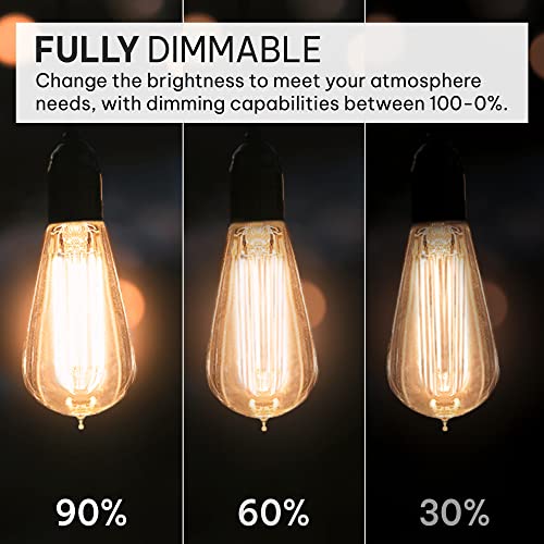 Vintage Incandescent Edison Light Bulbs 60W (4 Count)
