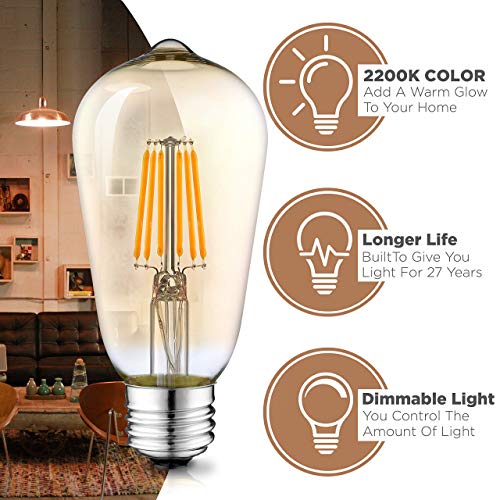 Hudson Vintage LED Edison 6W Bulb Set (6 Count)