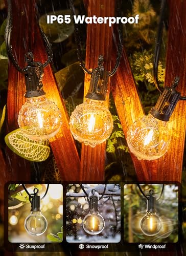 Outdoor String Lights (50 Count)