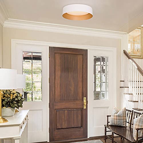 Flush Mount Ceiling Light
