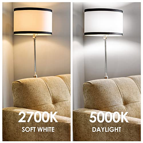 ENERGETIC SMARTER LIGHTING A21 LED Bulb 150 Watt Equivalent (2 Count)