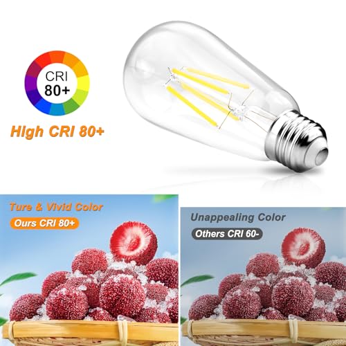 Vintage LED Edison Bulbs (12 Count)