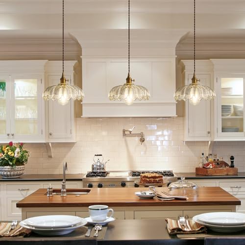 Plug in Pendant Light Hanging Lamp