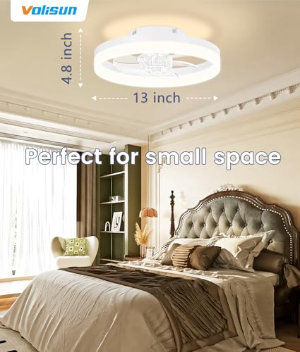 13 inch Small Ceiling Fans with Lights and Remote