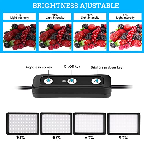LED Video Light 2 (2 Count)