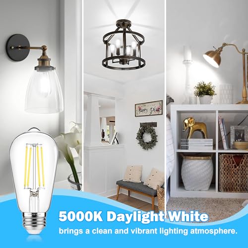 4 Pack Vintage Edison LED Bulbs (4 Count)