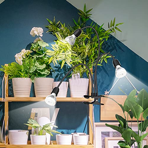 LED Grow Lights for Indoor Plants