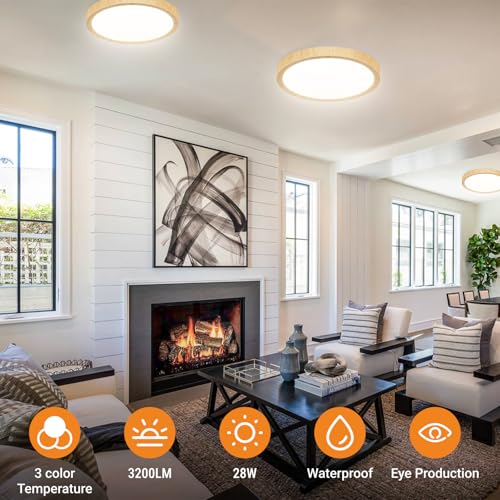 12Inch Flush Mount Ceiling Light Fixtures (3 Count)