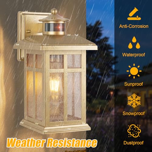 Outdoor Light Fixture Motion Sensor