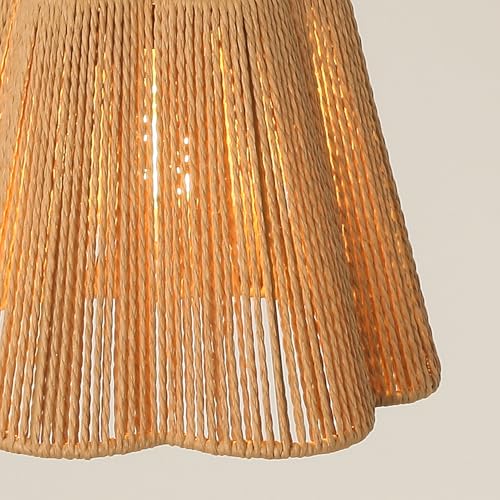 Woven Pendant Light Boho Chandelier