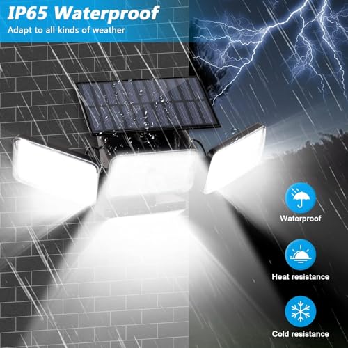 Solar Lights Outdoor (4 Count)