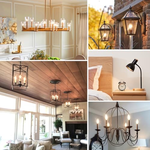 12 Pack Dimmable E12 LED Candelabra Bulbs 60W Equivalent (12 Count)