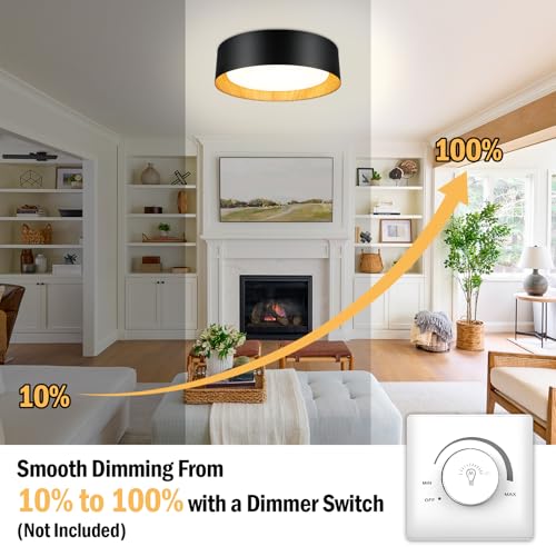 Flush Mount Ceiling Light