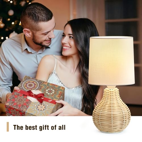 Rattan Table Lamp Boho Lamps Set of 2 (2 Count)