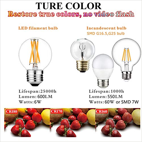 G16.5 Edison Bulbs (6 Count)
