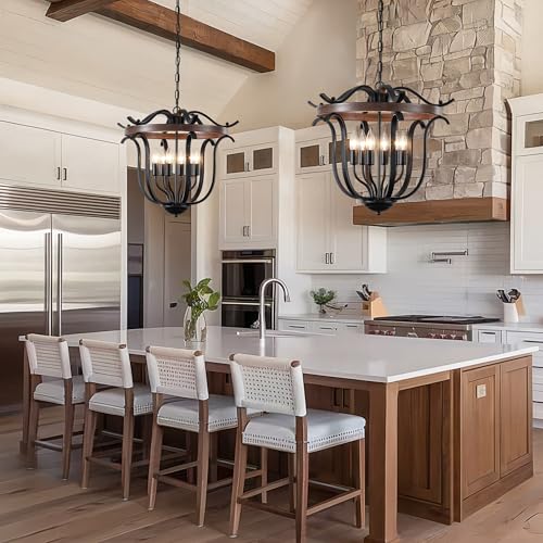 20" Black Farmhouse Chandelier for Dining Room 6 Light Cage Light Fixture