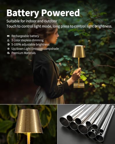 2 Pack Cordless Gold Table Lamps (2 Count)