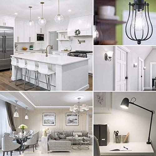 LED A19 Dimmable Light Bulbs 100W Equivalent (6 Count)