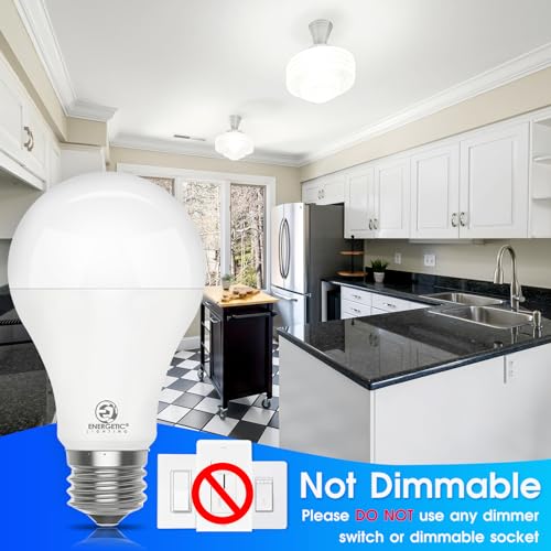 150 Watt LED Light Bulb (2 Count)