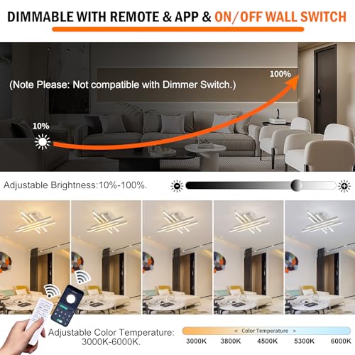 Modern LED Ceiling Light with Remote