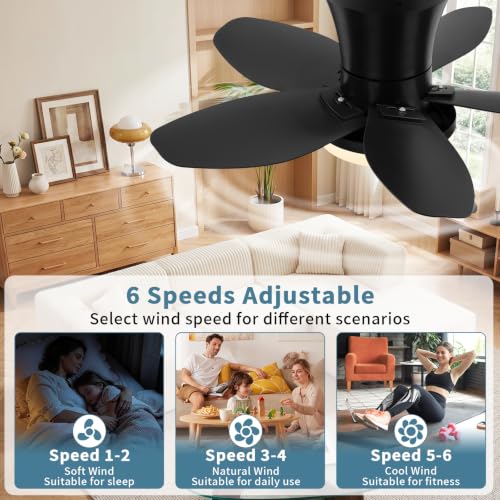 Small Ceiling Fan with Lights (25 Inch)