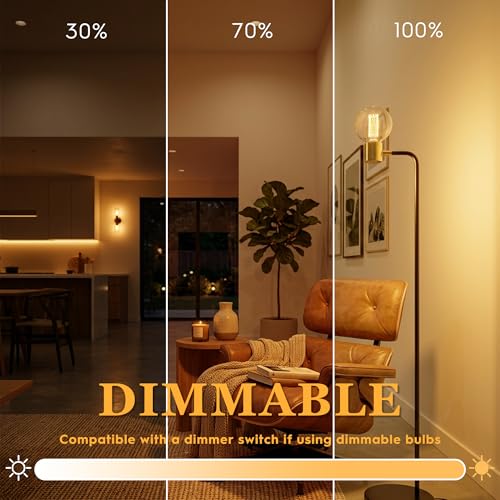 Dimmable Edison Bulb E26 Vintage Round LED Light LowLumen Clear G95