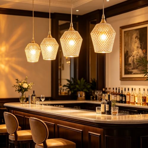 2Pcs Small Glass Lamp Shades (2 Count)